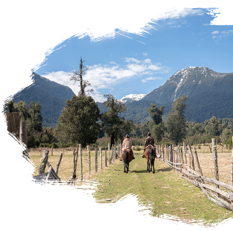 Campo-estilo